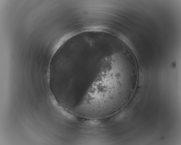 X0000111460994200907201109