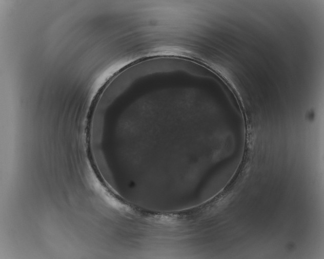 X0000111460995200907201109