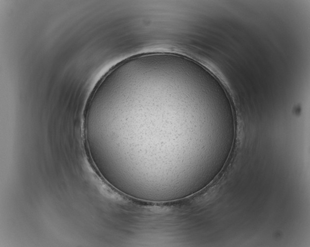 X0000111460996200907201109