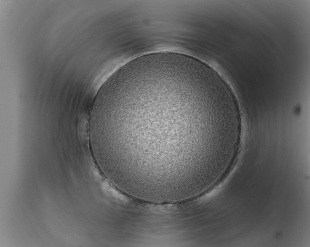 X0000111461001200907201109