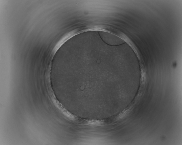 X0000111461002200907201109