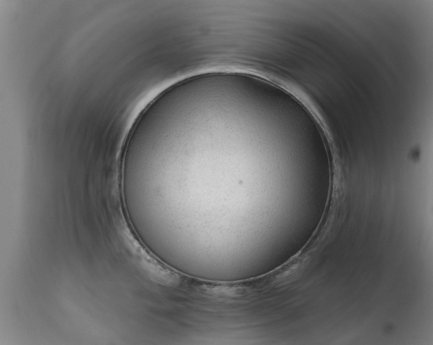 X0000111461004200907201109