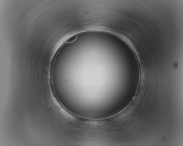 X0000111461005200907201109