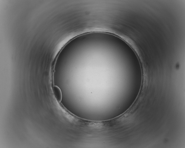 X0000111461006200907201109