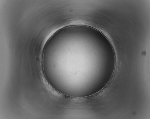 X0000111461008200907201109