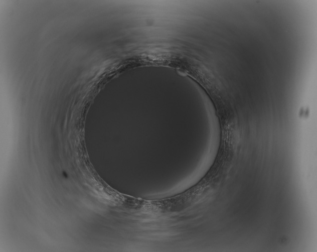 X0000111461009200907201108