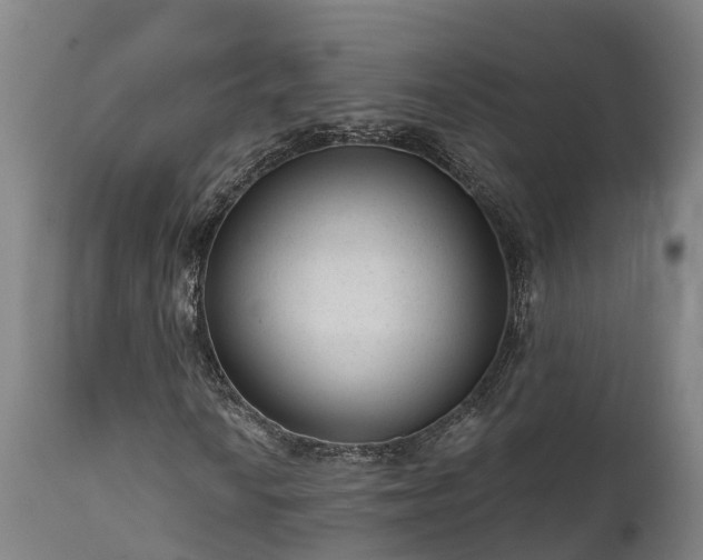 X0000111461010200907201108