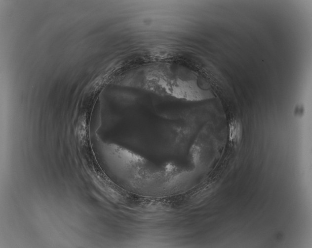 X0000111461011200907201108