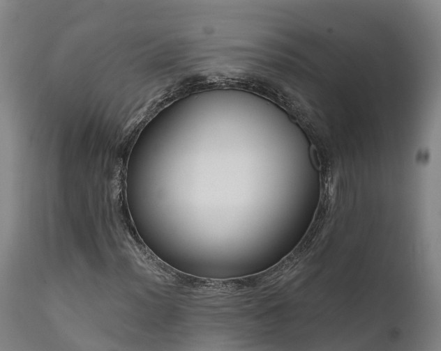 X0000111461012200907201108