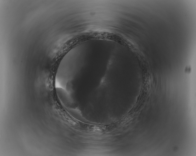 X0000111461013200907201108