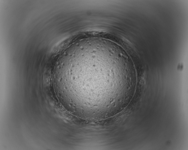 X0000111461014200907201108