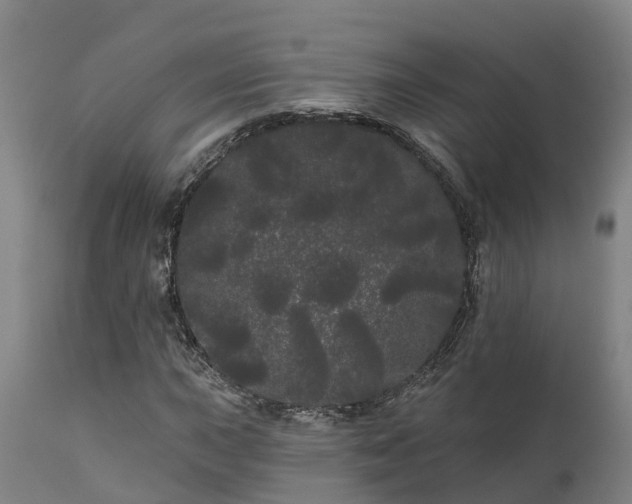 X0000111461015200907201108