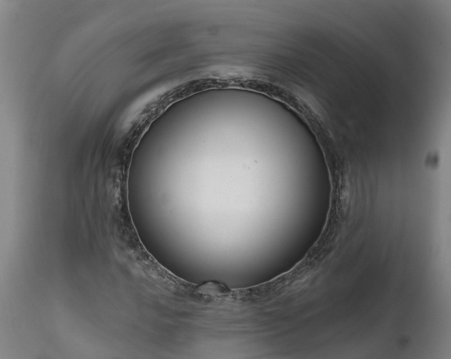 X0000111461016200907201108