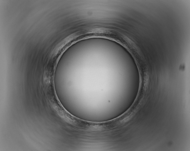 X0000111461017200907201108