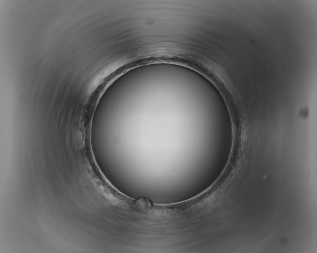 X0000111461018200907201108