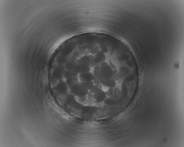 X0000111461019200907201108