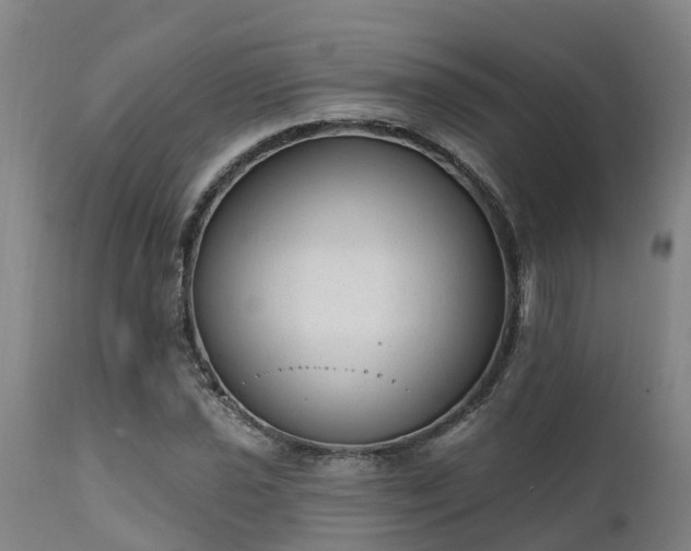 X0000111461021200907201108