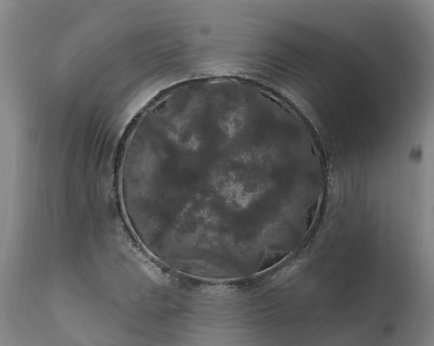 X0000111461023200907201108