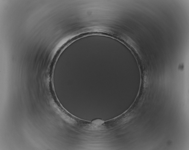 X0000111461024200907201108