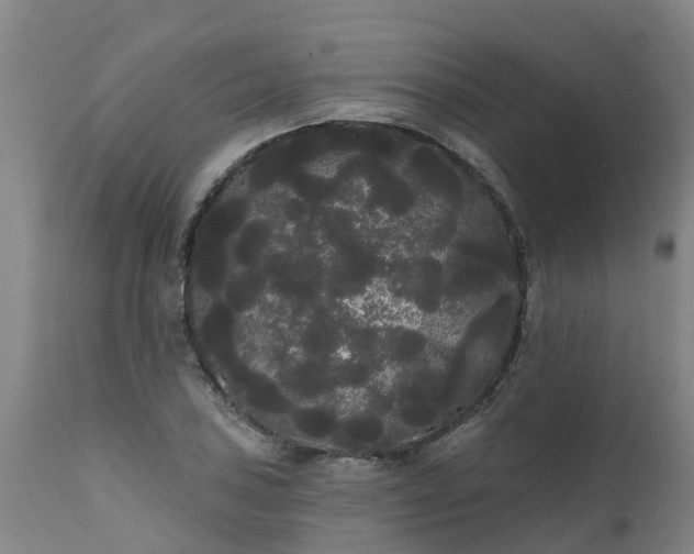 X0000111461027200907201108