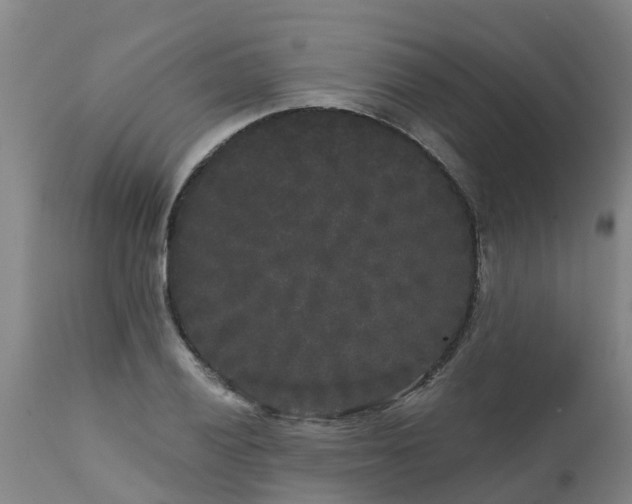 X0000111461028200907201108