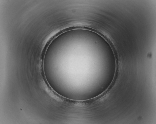 X0000111461029200907201108