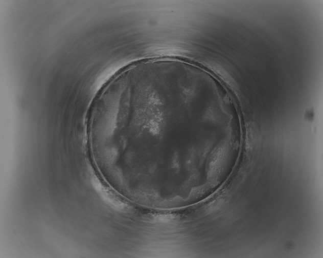 X0000111461031200907201108