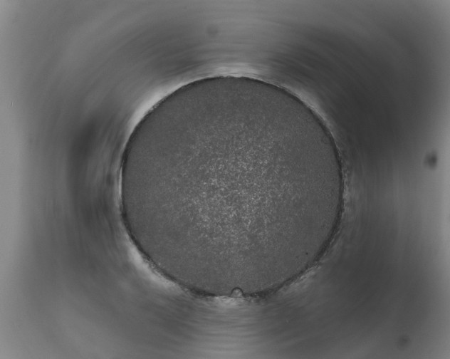 X0000111461032200907201108