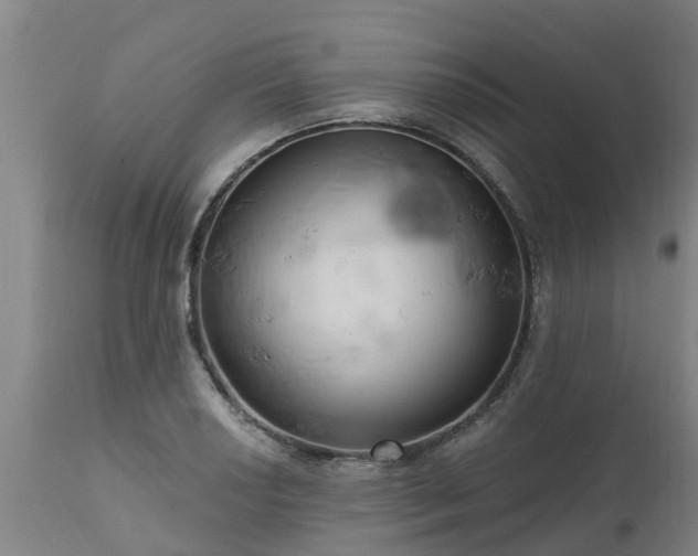 X0000111461034200907201108