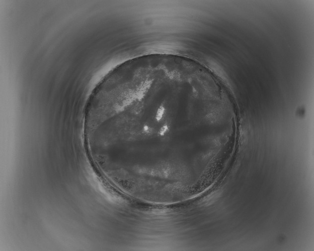 X0000111461035200907201108