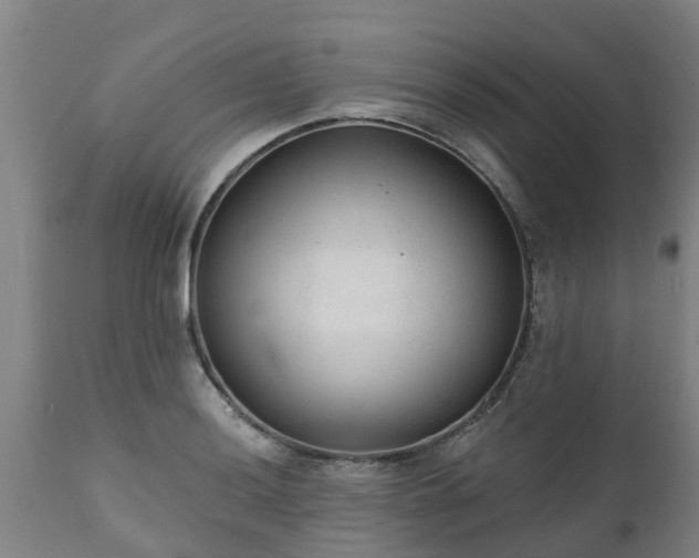 X0000111461036200907201108