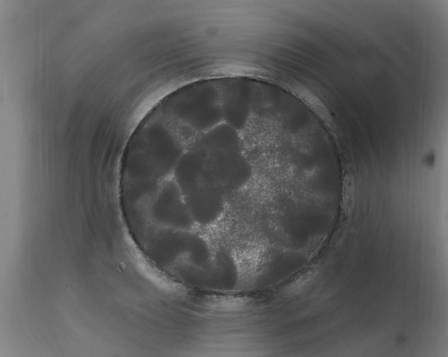 X0000111461039200907201108