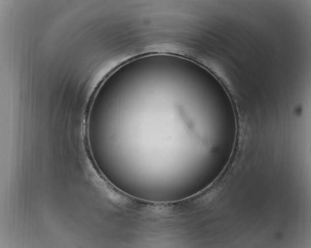 X0000111461040200907201108