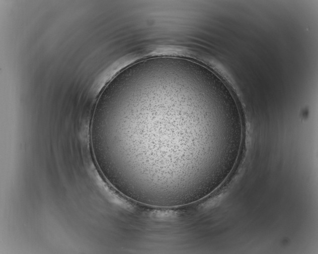 X0000111461041200907201109