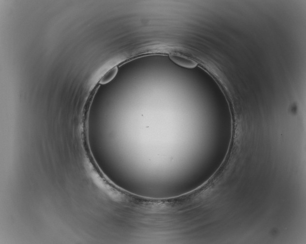 X0000111461042200907201109