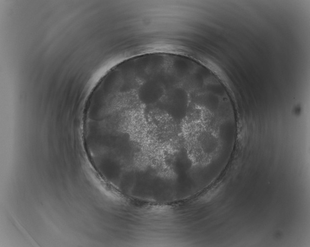 X0000111461043200907201109