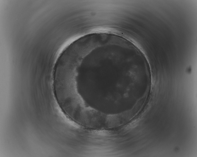 X0000111461045200907201109