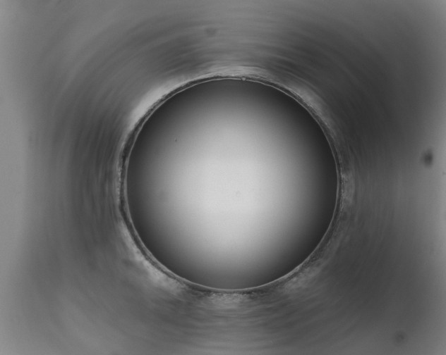 X0000111461046200907201109