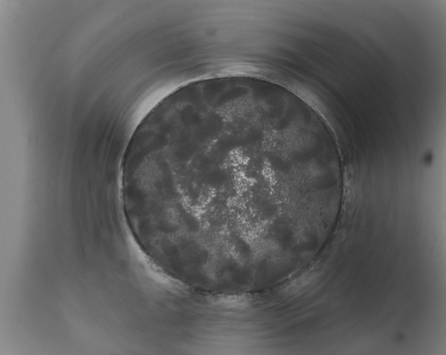 X0000111461047200907201109