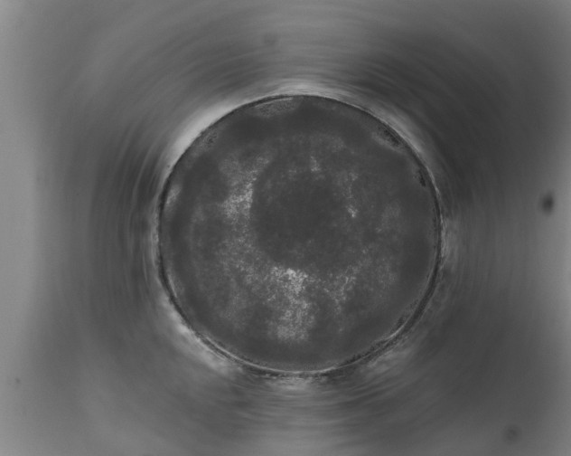 X0000111461048200907201109