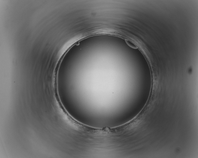 X0000111461050200907201109