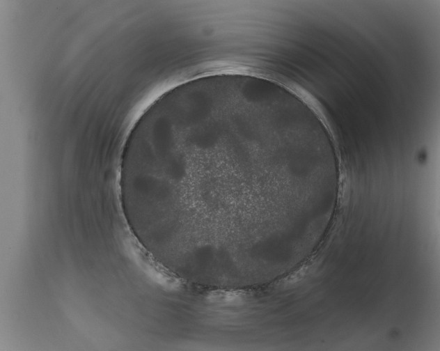 X0000111461051200907201109