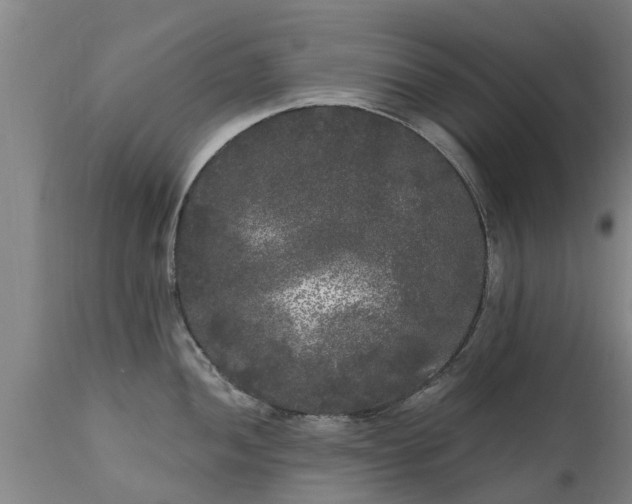 X0000111461052200907201109