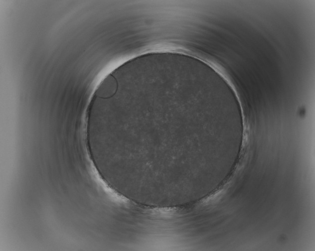 X0000111461053200907201109