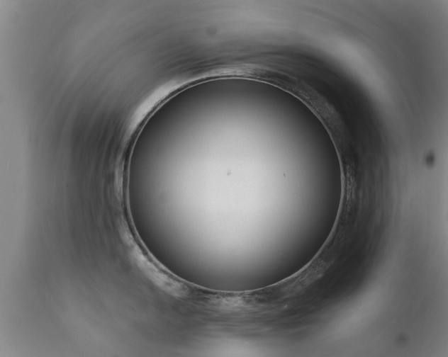 X0000111461054200907201109