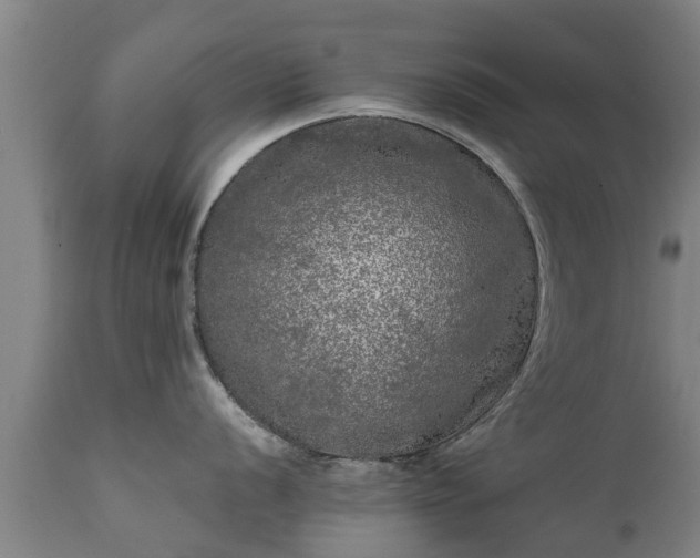 X0000111461056200907201109