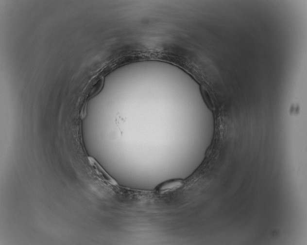 X0000111461057200907201108