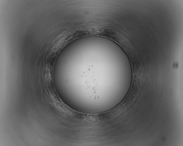 X0000111461058200907201108