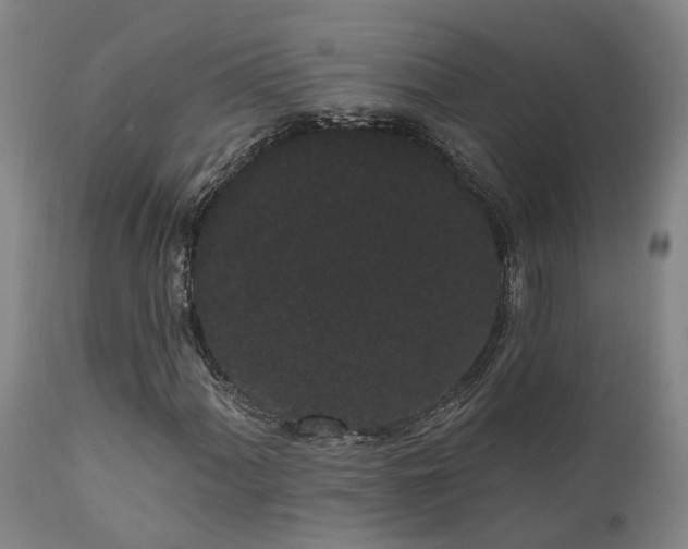 X0000111461060200907201108