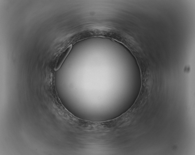 X0000111461061200907201108